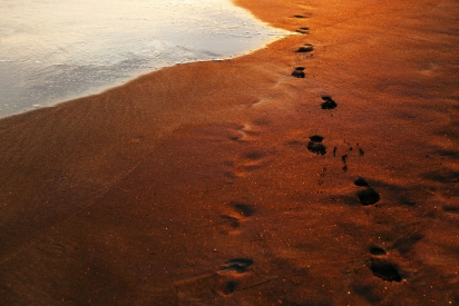 Footprints in the sand