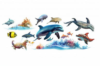 A group of sea animals