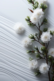 A white flowers on a branch