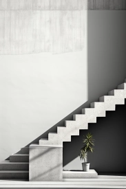 A white staircase with a plant on the side