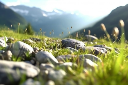 A close up of rocks and grass