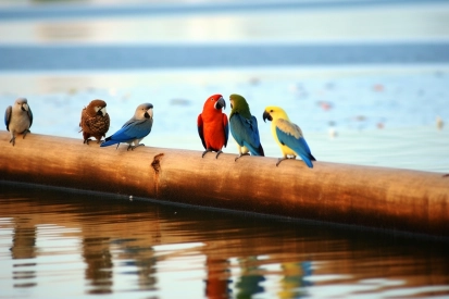 A group of birds on a log