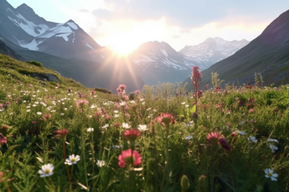 A field of flowers with mountains in the background