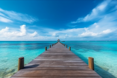 A wooden dock leading to the ocean