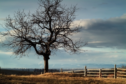 Early spring in the Ore Mountains