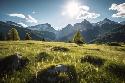 A grassy field with trees and mountains in the background