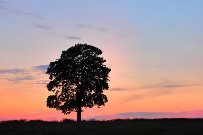 Colorful evening