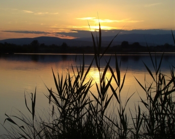 Evening over the water