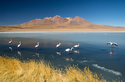 Laguna Hedionda