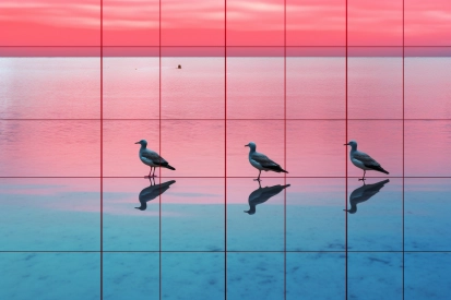 A group of birds walking on a reflective surface