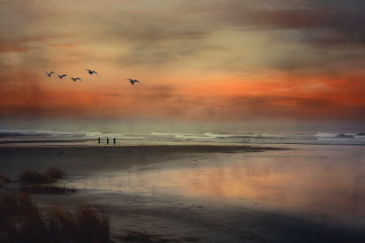 A group of birds flying over a beach