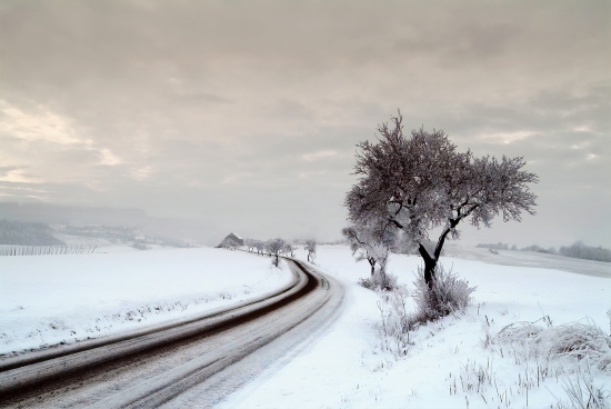 Frosty road