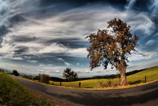 Autumn landscape