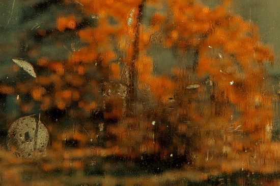 Autumn behind glass
