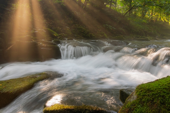 Morning rays