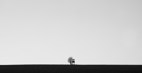 Minimal bw picture high seat with tree