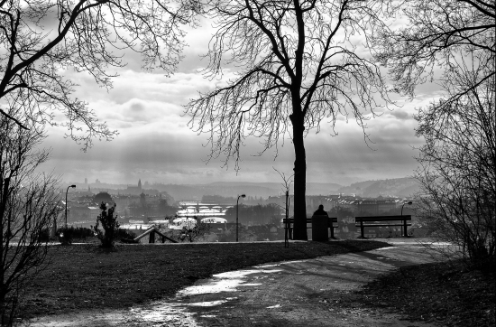 Prague bridges from the viewpoint