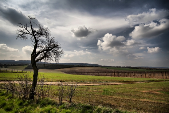 Czech landscape at the end of summer