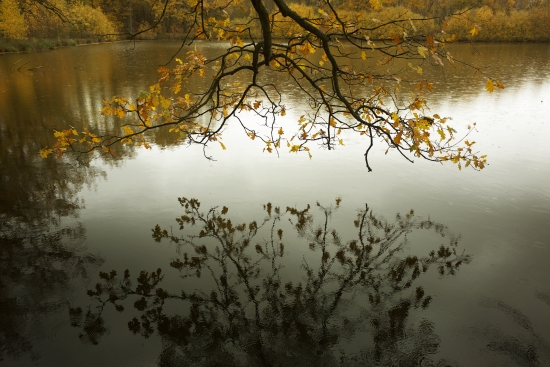 Autumn by the water