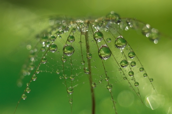 Waterfall of pearls