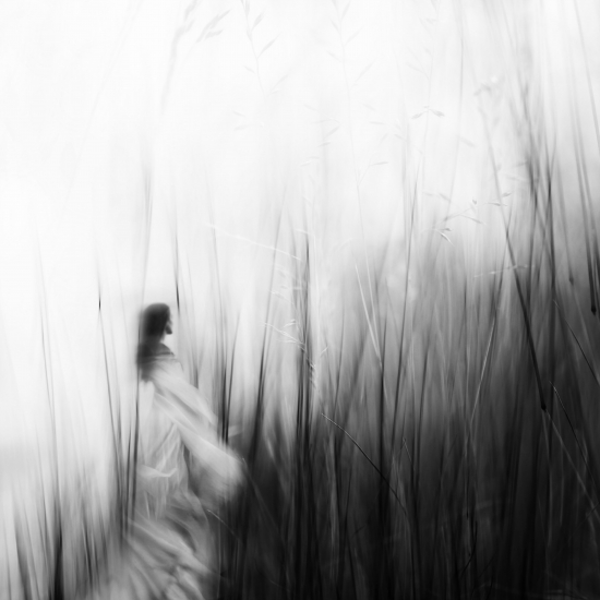 An image of a fairy in tall grass